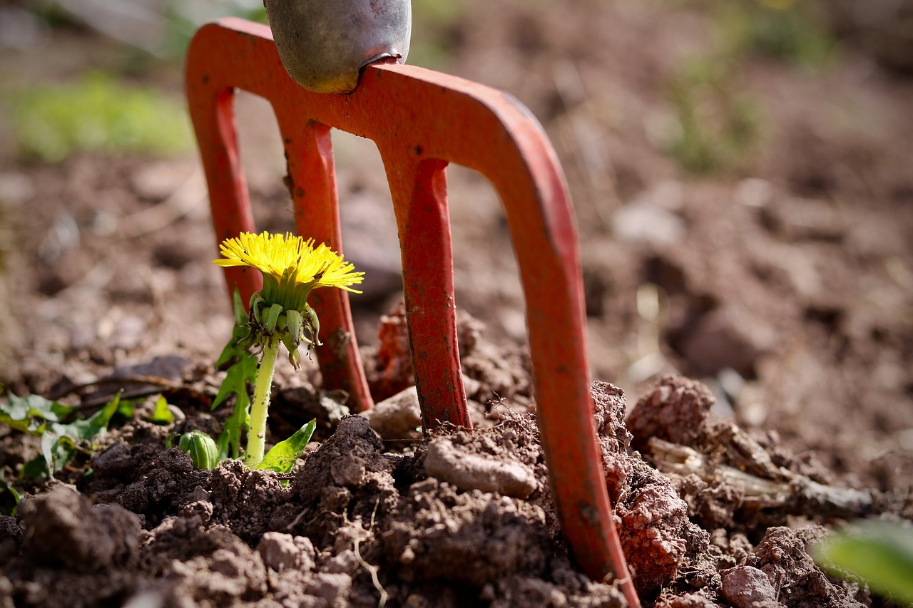 Harnessing the Power of Resilience in Traumatic Situations